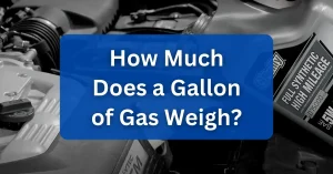 How Much Does a Gallon of Gas Weigh